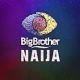 Big Brother Naija: A platform of opportunities, perils for Nigerian youth