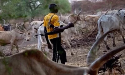 Six killed as suspected herders attack Benue communities, displacing thousands