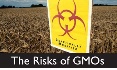 Former plant biologist raises concerns over GMO crops risks, regulation