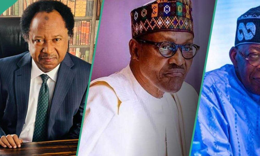 Shehu Sani Blames Northern Leaders, Citizens for Region’s Problems