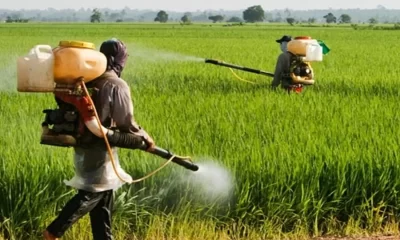 CEFSAR questions NAFDAC’s delay in banning toxic herbicide amid growing health concerns