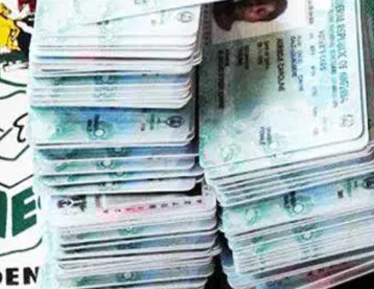 INEC PVCs