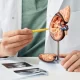 Early diagnosis key to reducing kidney disease treatment costs, says expert