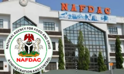 NAFDAC drug market Maiduguri