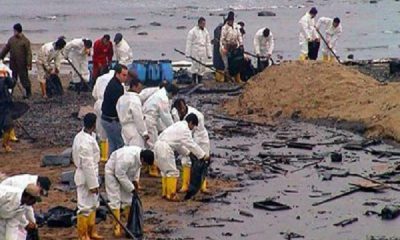 Ogoni Cleanup