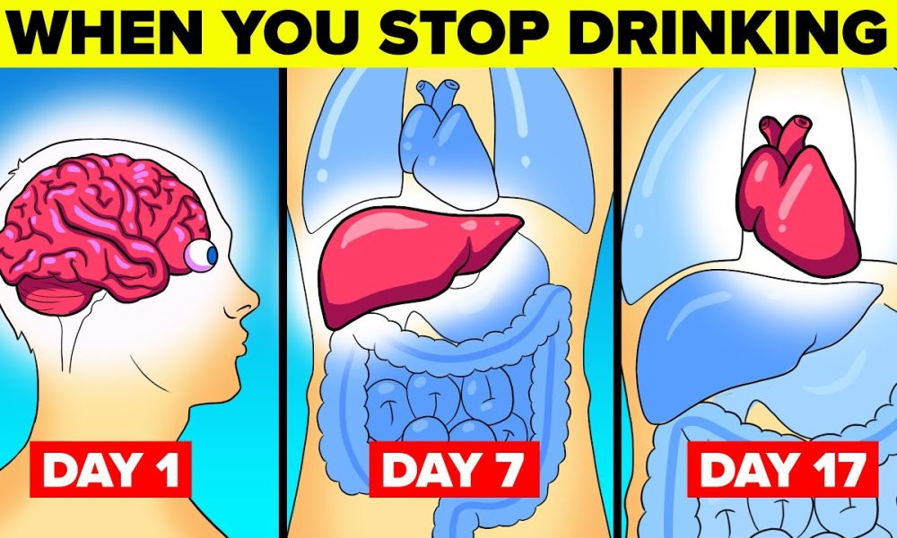 What happens to your body when you stop drinking alcohol