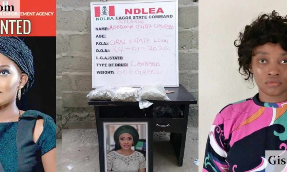 Oluwadamilola Aderinoye, a former Miss Commonwealth Nigeria and founder of the Queen Christmas Foundation, has surrendered herself to the Lagos command of the National Drug Law Enforcement Agency (NDLEA) after nearly eight months on the run.