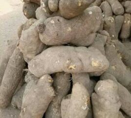 Produce of yam farmers