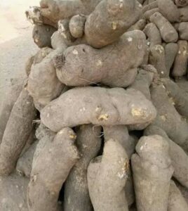 Produce of yam farmers