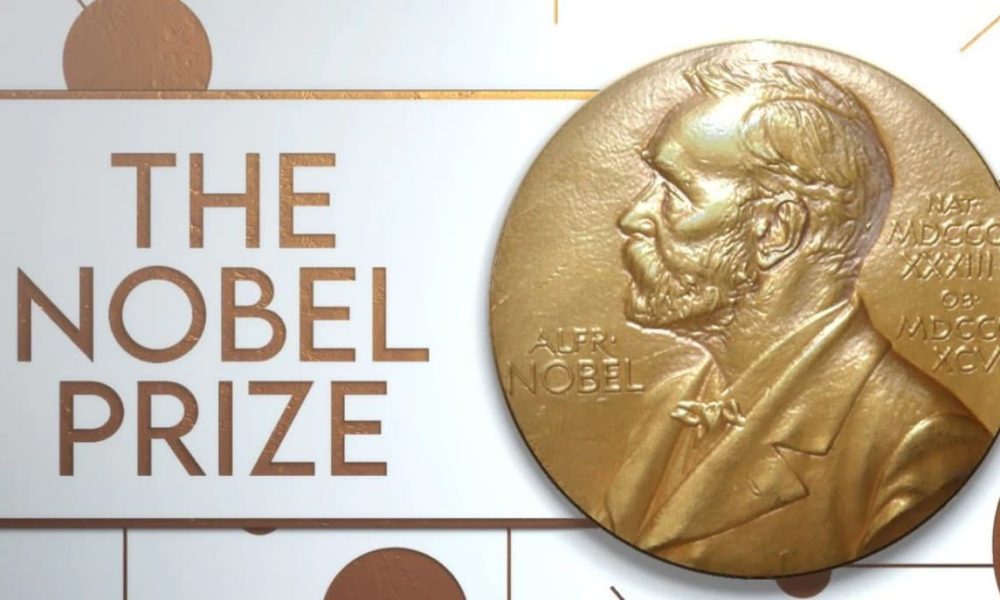 Nigeria and the 2024 Nobel Prize