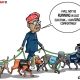 Tinubu’s four dogs of war against democracy