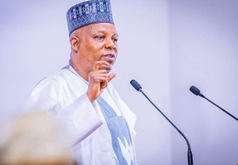 Vice President Kashim Shettima