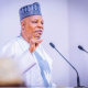 Vice President Kashim Shettima