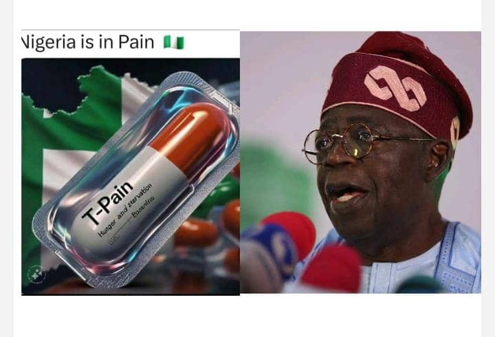 What Is T-Pain, Tinubu Telling Himself?