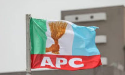 Lagos Mainland APC calls for intervention over unconstitutional dissolution attempt