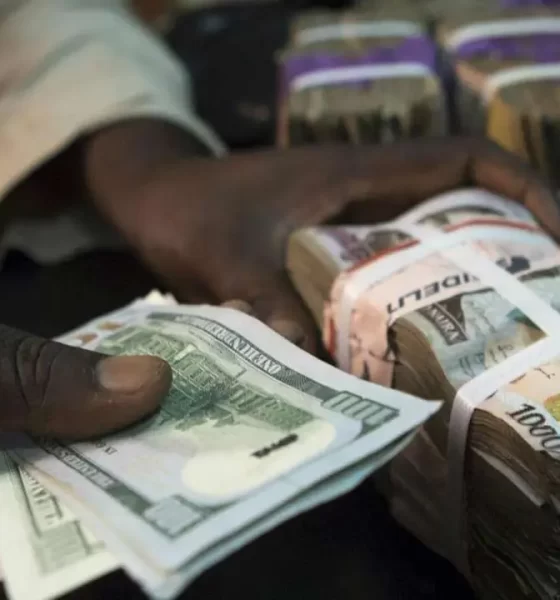 naira-and-dollars