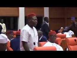 Sen Nwoye against laws on LG by states