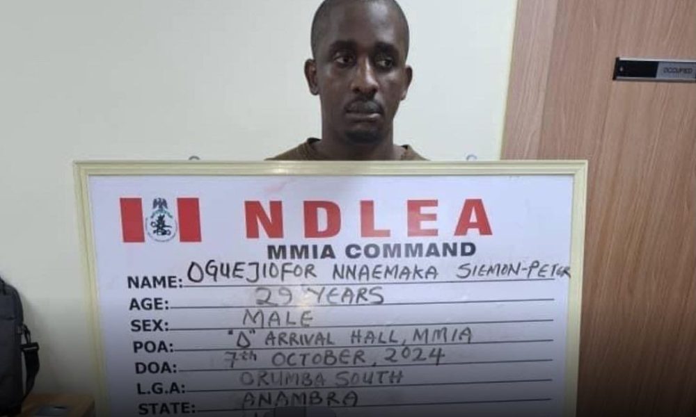 NDLEA nabs Thailand returnee with illicit drugs valued at N3.1b