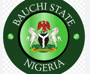 Bauchi State illegal mining