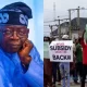 Bola Tinubu