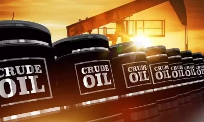 Oil