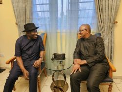 Peter Obi on New Year visitation to former President Goodluck Jonathan 