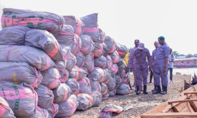 Record-Breaking Seizure of 1,958kg of Cannabis Sativa Worth ₦398.2m