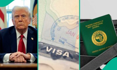 Visa