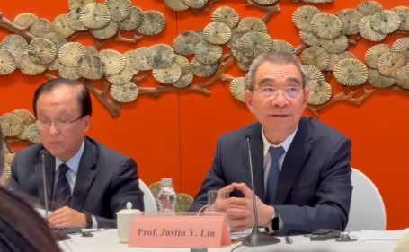 Professor Yifu Lin china