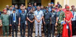 IGP launches