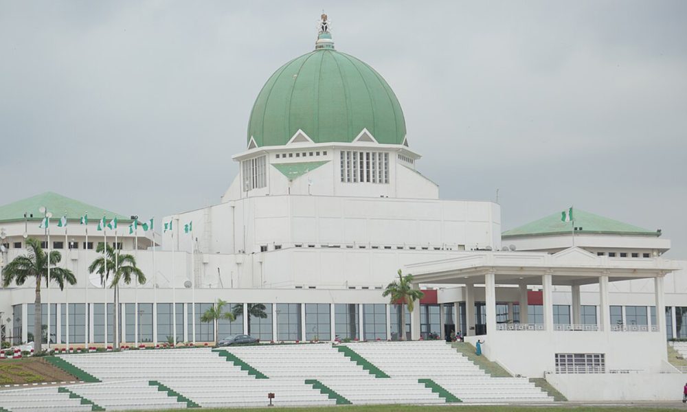 Gatekeepers or Spectators? National Assembly’s Two-Year Performance Gap