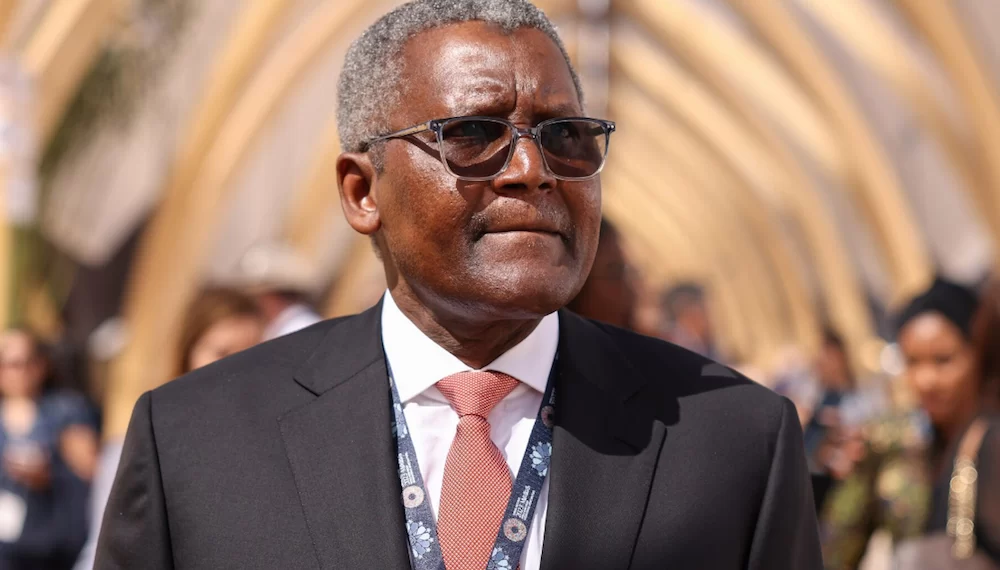 Dangote's Grand Gamble: Can Africa truly fertilize its future without imports?