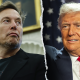 musk-trump-2