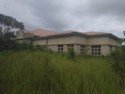 Hon. wole oke constituents