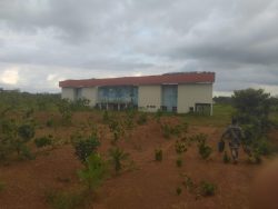 wole oke constituents