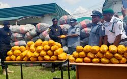 Customs Hands Over Seized 1,450kg Cannabis Sativa To NDLEA