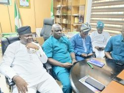 PDP ORIADE OKE FADAHUNSI