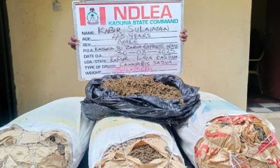 NDLEA smashes drug cartels nationwide, arrests 75-year-old grandpa