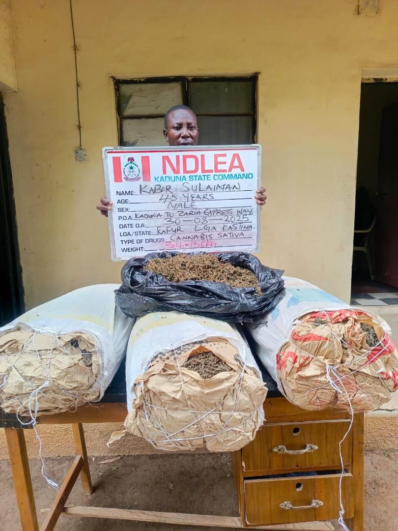 NDLEA smashes drug cartels nationwide, arrests 75-year-old grandpa