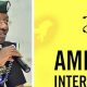 Egbetokun orders probe of Amnesty International’s report on South-east killings