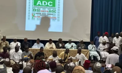 APC dominates nationwide re-run, bye-elections as ADC suffers setback