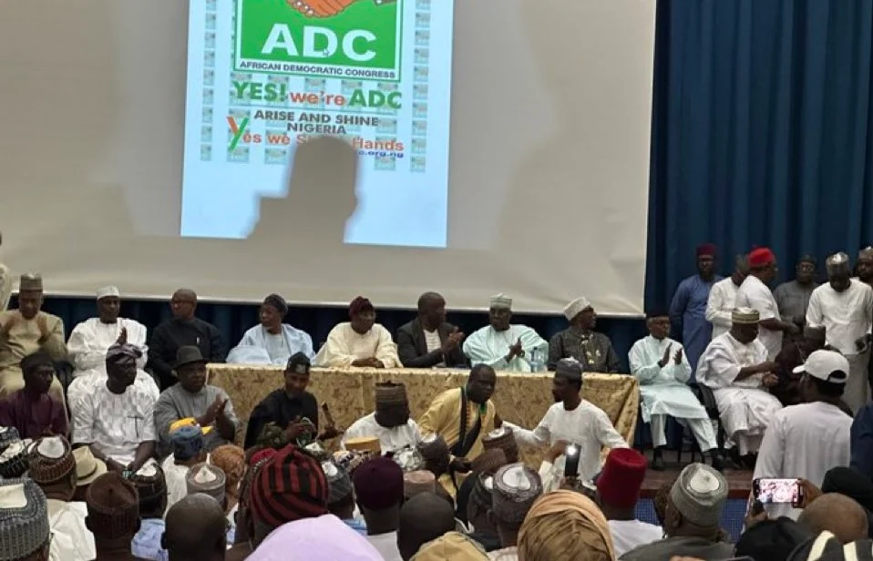 APC dominates nationwide re-run, bye-elections as ADC suffers setback