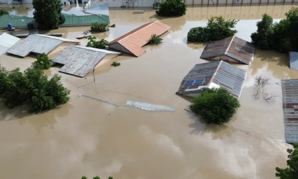 trapped in the flood of kushari