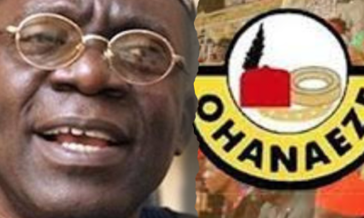 Falana Slams Proposed Pay Rise for Politicians, Ohanaeze Warns of Public Anger