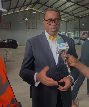 Adesina backs SEGLEV’s EV plant, pledges support for auto, clean energy growth