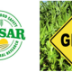 Center for Food Safety and Agricultural Research (CEFSAR) GMO