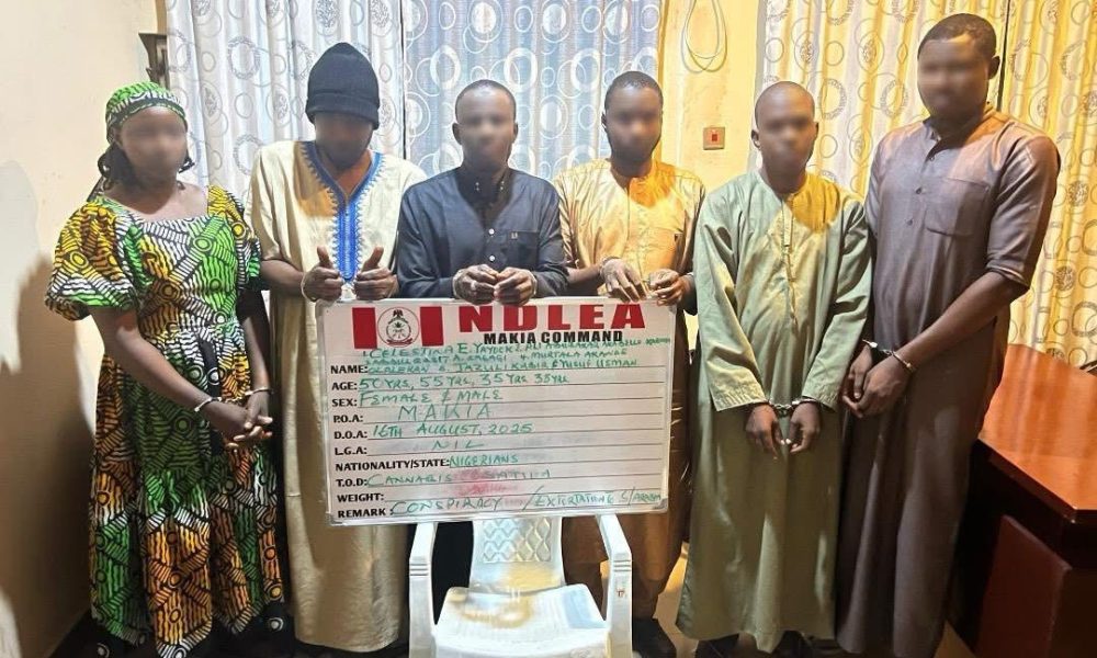 NDLEA arrests Kano drug kingpin, 5 others over Saudi detention of innocent pilgrims
