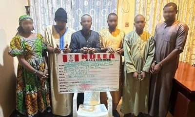 NDLEA arrests Kano drug kingpin, 5 others over Saudi detention of innocent pilgrims