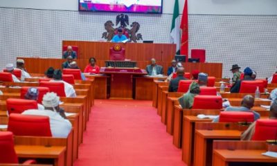Tinubu Retirement Age Extension Bill, Paves Way for Contract-Based Appointments NASS