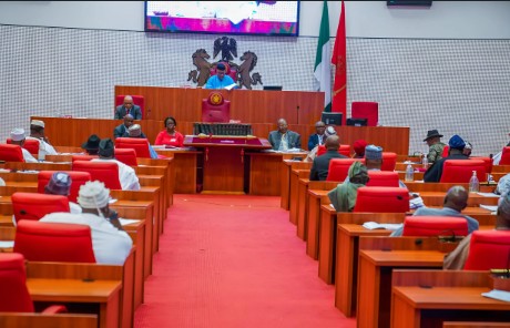 Tinubu Retirement Age Extension Bill, Paves Way for Contract-Based Appointments NASS